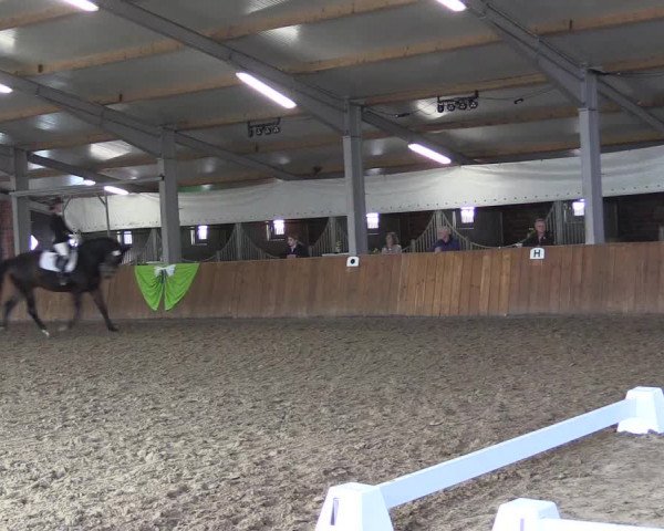 Reitturnier Dohren 2022