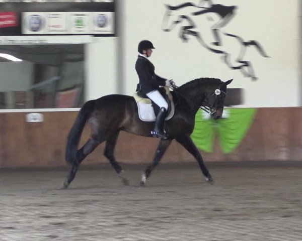 Reitturnier Dohren 2022