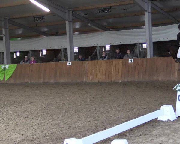 Reitturnier Dohren 2022