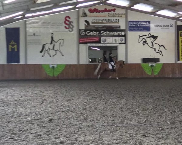 Reitturnier Dohren 2022