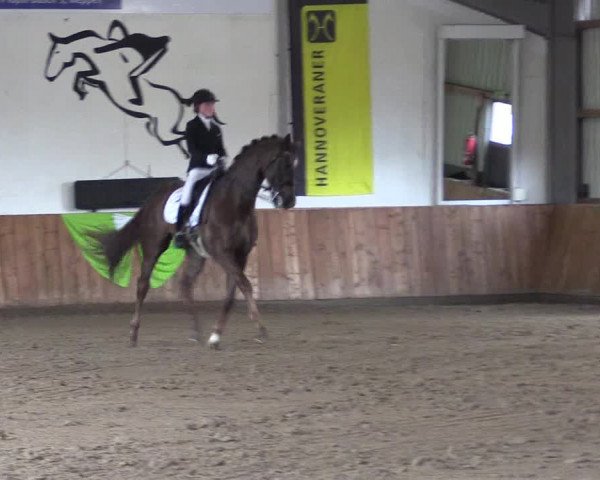 Reitturnier Dohren 2022