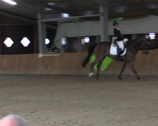 Reitturnier Dohren 2022
