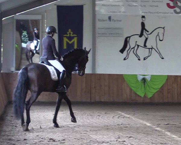 Reitturnier Dohren 2022