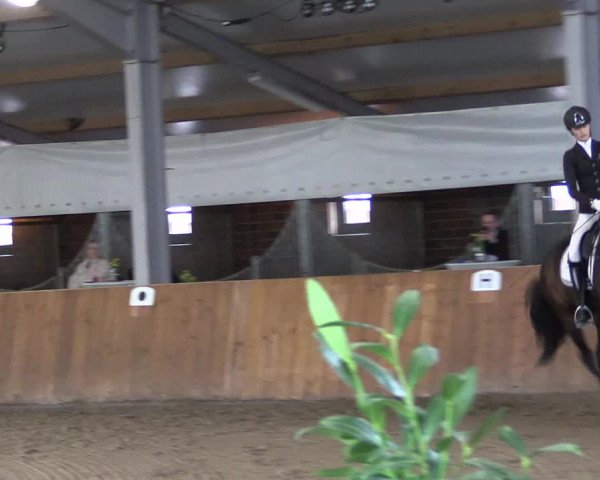 Reitturnier Dohren 2022