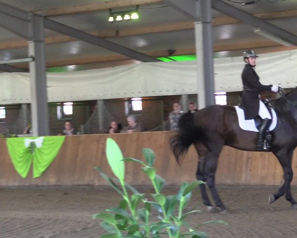 Reitturnier Dohren 2022