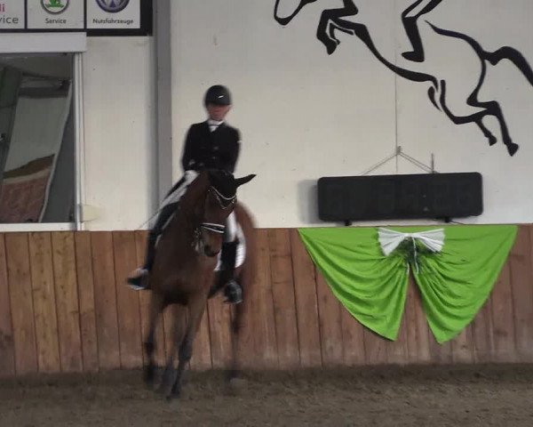 Reitturnier Dohren 2022