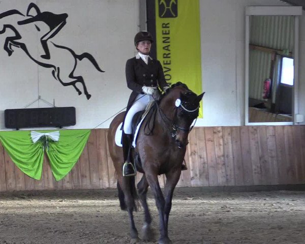 Reitturnier Dohren 2022