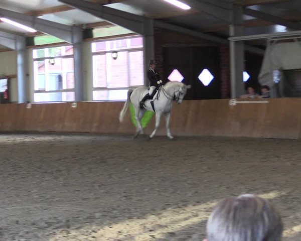 Reitturnier Dohren 2022