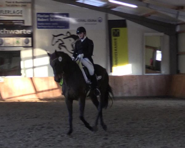 Reitturnier Dohren 2022