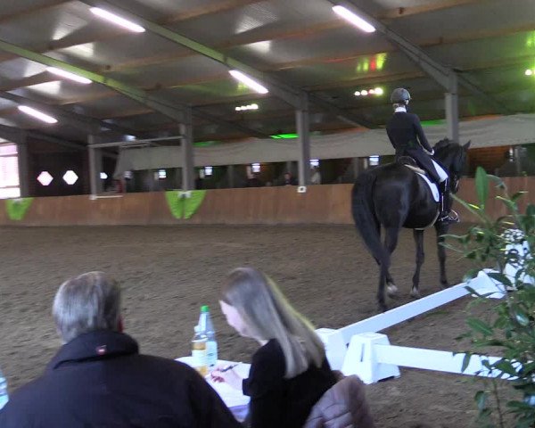 Reitturnier Dohren 2022