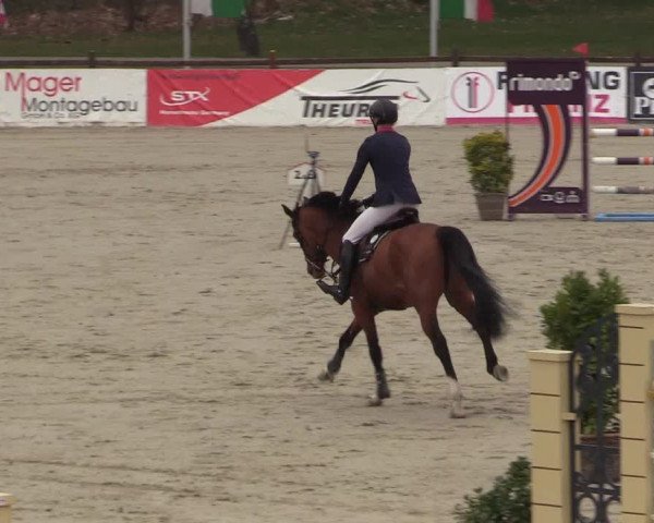 FEI Reitturnier Westergellersen (GER) 2022