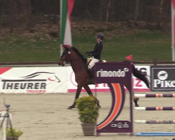 FEI Reitturnier Westergellersen (GER) 2022
