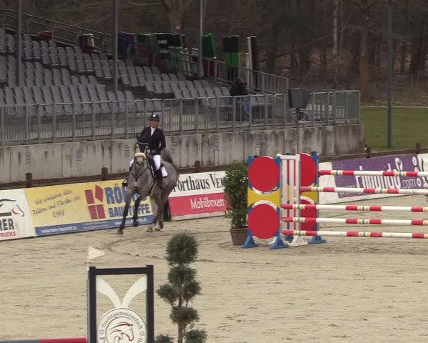 FEI Reitturnier Westergellersen (GER) 2022