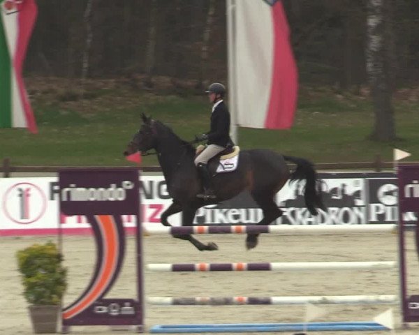 FEI Reitturnier Westergellersen (GER) 2022
