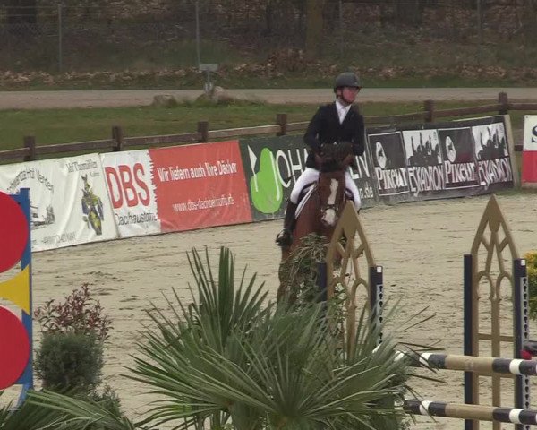FEI Reitturnier Westergellersen (GER) 2022
