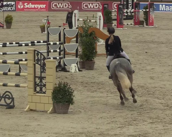 FEI Reitturnier Westergellersen (GER) 2022