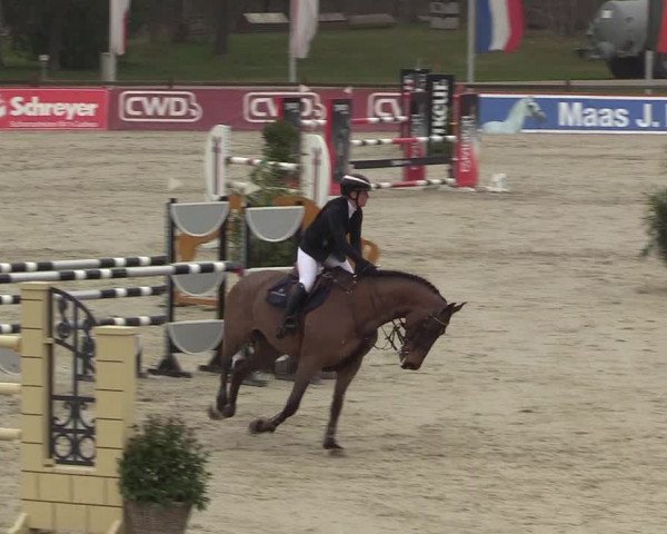 FEI Reitturnier Westergellersen (GER) 2022