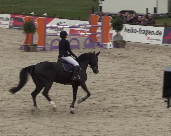FEI Reitturnier Westergellersen (GER) 2022