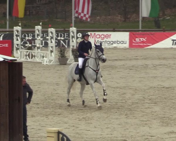 FEI Reitturnier Westergellersen (GER) 2022
