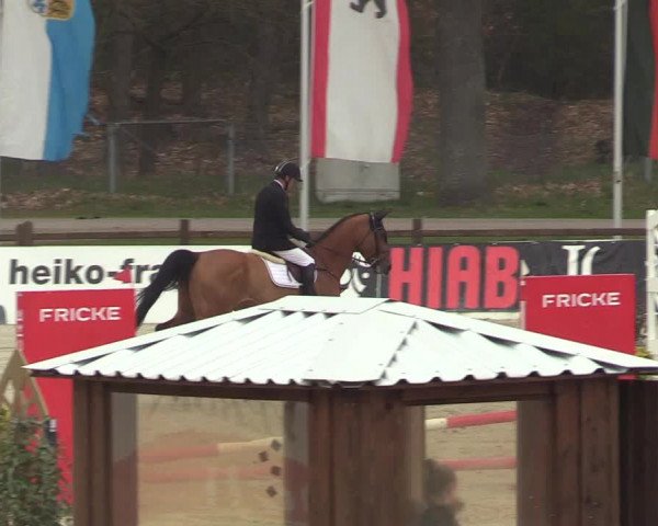 FEI Reitturnier Westergellersen (GER) 2022
