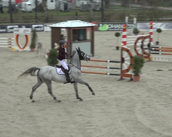 FEI Reitturnier Westergellersen (GER) 2022