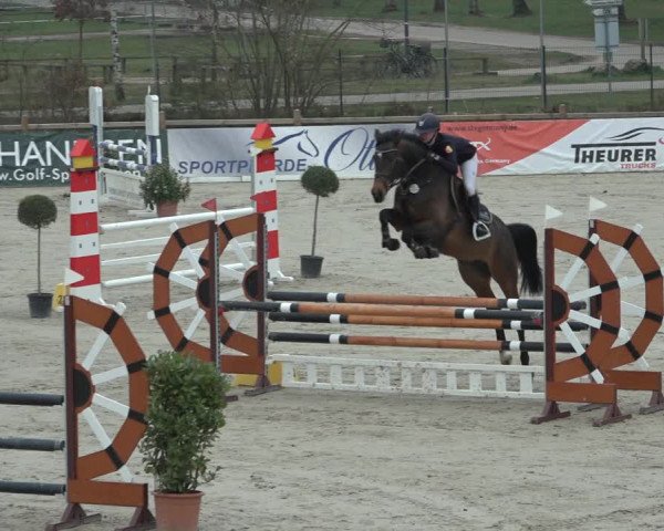 FEI Reitturnier Westergellersen (GER) 2022