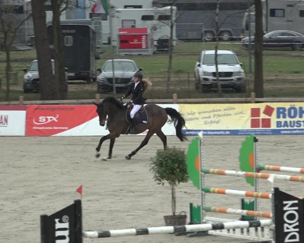 FEI Reitturnier Westergellersen (GER) 2022