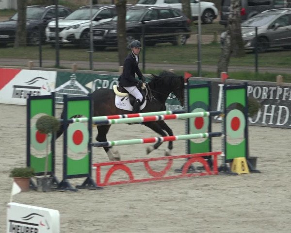FEI Reitturnier Westergellersen (GER) 2022