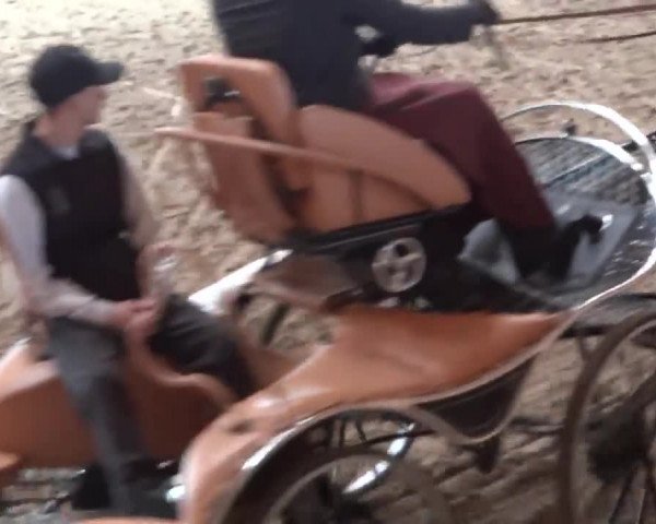 Video of Rubiniero
