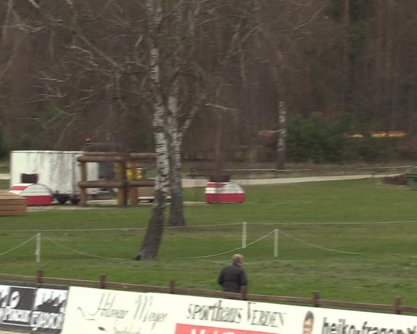 FEI Reitturnier Westergellersen (GER) 2022