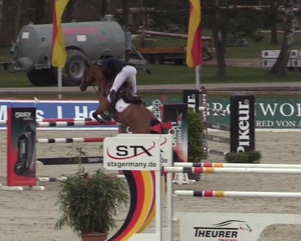 FEI Reitturnier Westergellersen (GER) 2022
