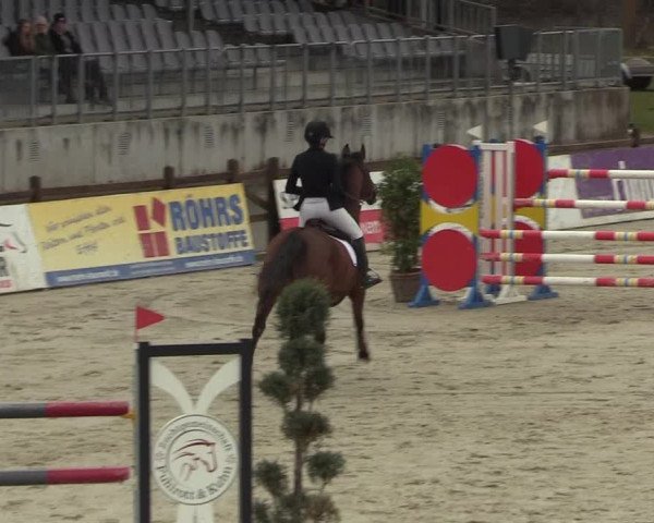 FEI Reitturnier Westergellersen (GER) 2022