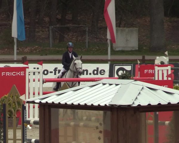 FEI Reitturnier Westergellersen (GER) 2022