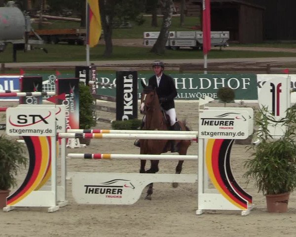 FEI Reitturnier Westergellersen (GER) 2022