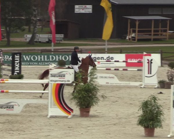 FEI Reitturnier Westergellersen (GER) 2022