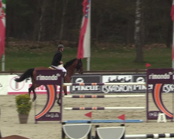 FEI Reitturnier Westergellersen (GER) 2022