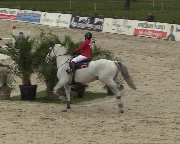 FEI Reitturnier Westergellersen (GER) 2022