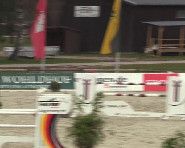 FEI Reitturnier Westergellersen (GER) 2022