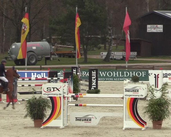 FEI Reitturnier Westergellersen (GER) 2022