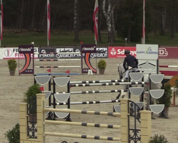 FEI Reitturnier Westergellersen (GER) 2022