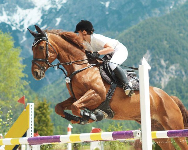 jumper Raphaelo 31 (Rhinelander, 2003, from Rapallo)