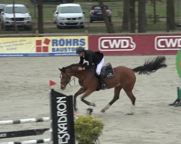 FEI Reitturnier Westergellersen (GER) 2022