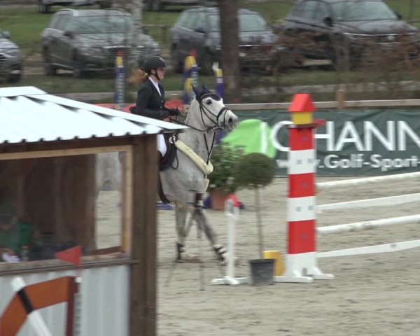 FEI Reitturnier Westergellersen (GER) 2022