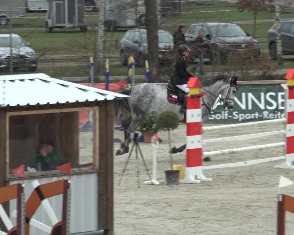 FEI Reitturnier Westergellersen (GER) 2022