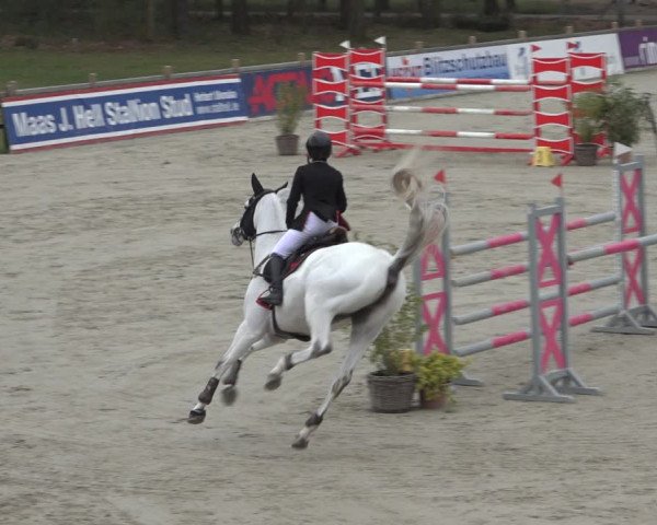 FEI Reitturnier Westergellersen (GER) 2022
