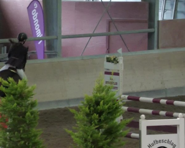 Reitturnier Waghäusel-Wiesental 2022