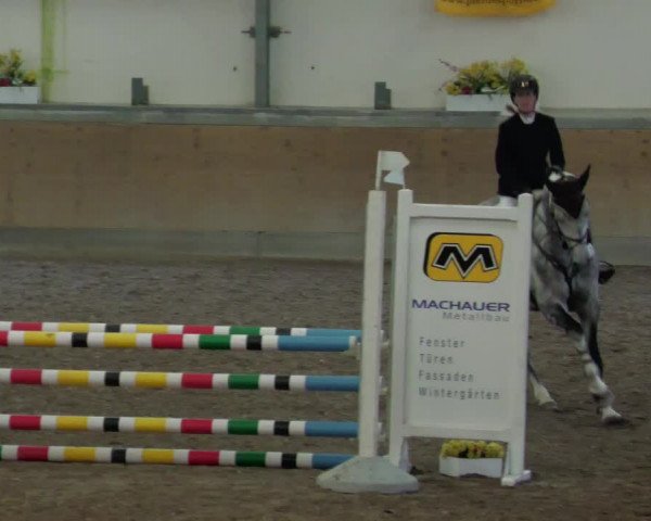 Reitturnier Waghäusel-Wiesental 2022