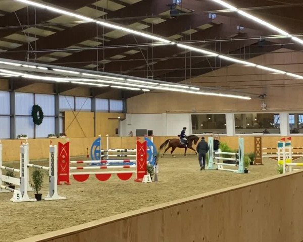 Reitturnier Damme 2021