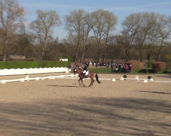 Reitturnier Münster-Handorf | Champs of Tomorrow 2022