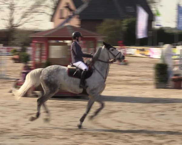 Reitturnier Werne-Lenklar 2022